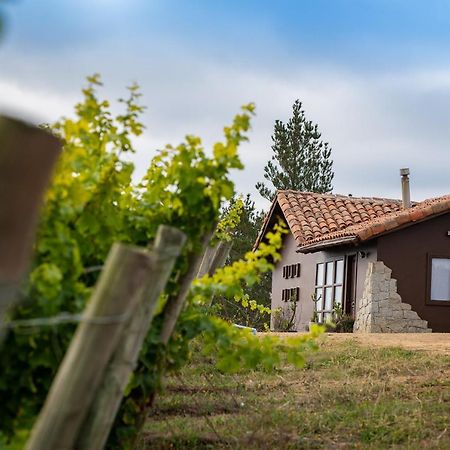 לינה וארוחת בוקר קרטחנה Bungalow Miramar & Jeronimo At Casa Marin Vineyards מראה חיצוני תמונה