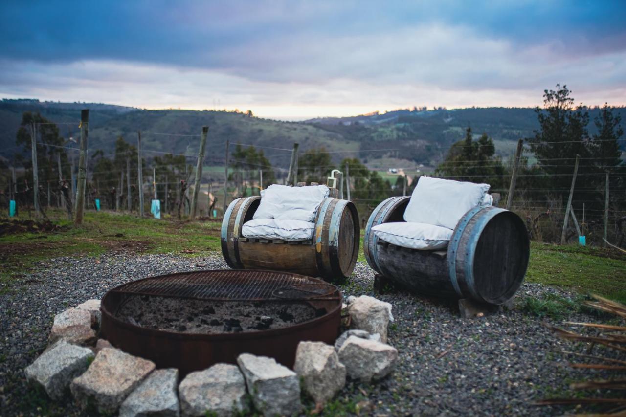 לינה וארוחת בוקר קרטחנה Bungalow Miramar & Jeronimo At Casa Marin Vineyards מראה חיצוני תמונה