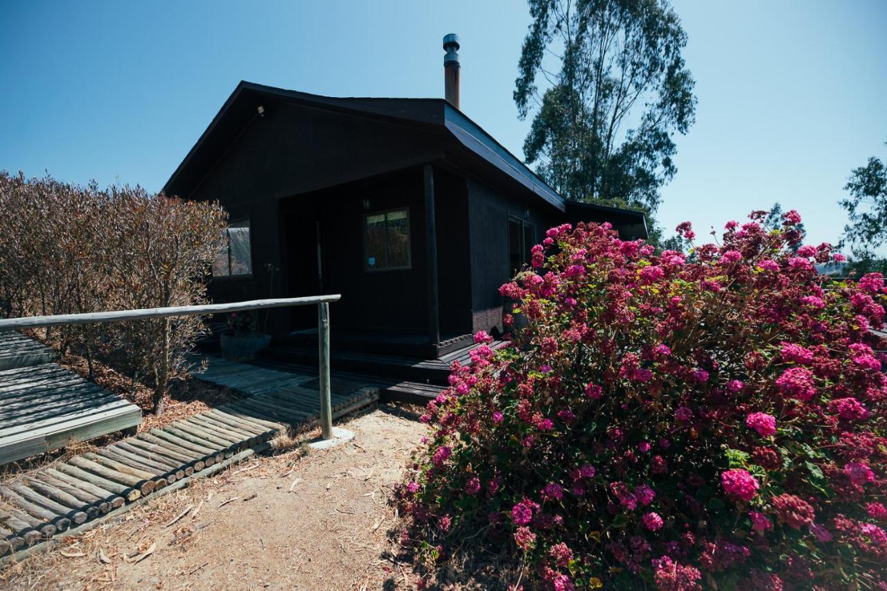 לינה וארוחת בוקר קרטחנה Bungalow Miramar & Jeronimo At Casa Marin Vineyards מראה חיצוני תמונה