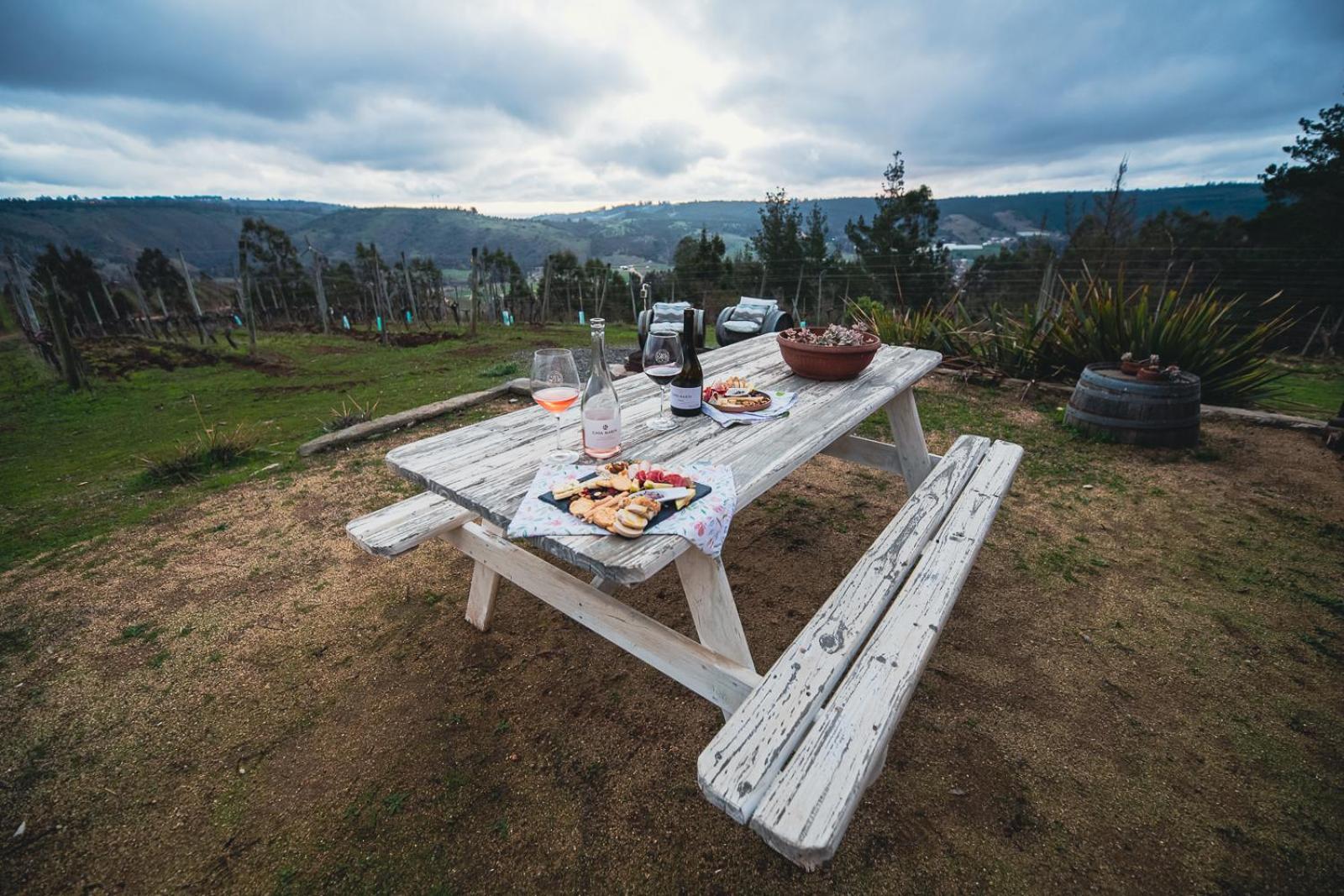 לינה וארוחת בוקר קרטחנה Bungalow Miramar & Jeronimo At Casa Marin Vineyards מראה חיצוני תמונה