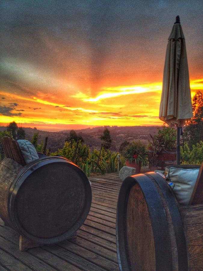 לינה וארוחת בוקר קרטחנה Bungalow Miramar & Jeronimo At Casa Marin Vineyards מראה חיצוני תמונה